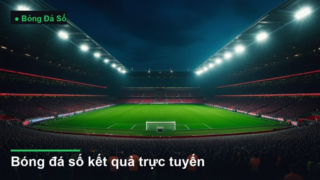 sân vận động bóng đá về đêm dưới ánh đèn pha - bóng đá số kết quả trực tuyến