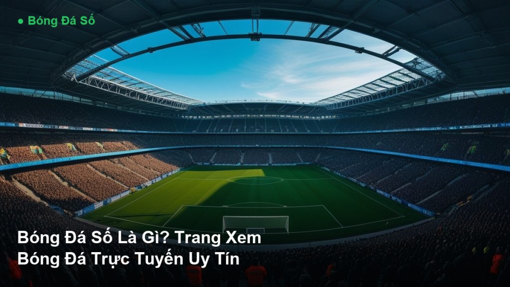 Bóng Đá Số - Bóng Đá Số Là Gì? Trang Xem Bóng Đá Trực Tuyến Uy Tín